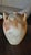 Vintage French Olive Oil Jar, South of France, 1890s For Sale - Image 5 of 11