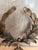 French Provincial Tole Wreath Stand For Sale - Image 3 of 7