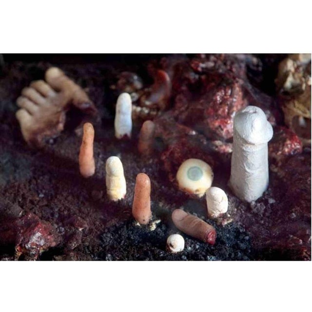 Selfportrait as uninhabited city is a contemporary artwork realized by John Isaacs in 2001 Wax, resin, earth, showcase The...