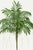 Paper Royal Palm Study, Vintage Botanical Art Print Reproduction, 16" X 24" For Sale - Image 7 of 10
