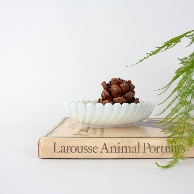 White Opaline Glass Bowl from Ivima, 1940s For Sale - Image 3 of 18