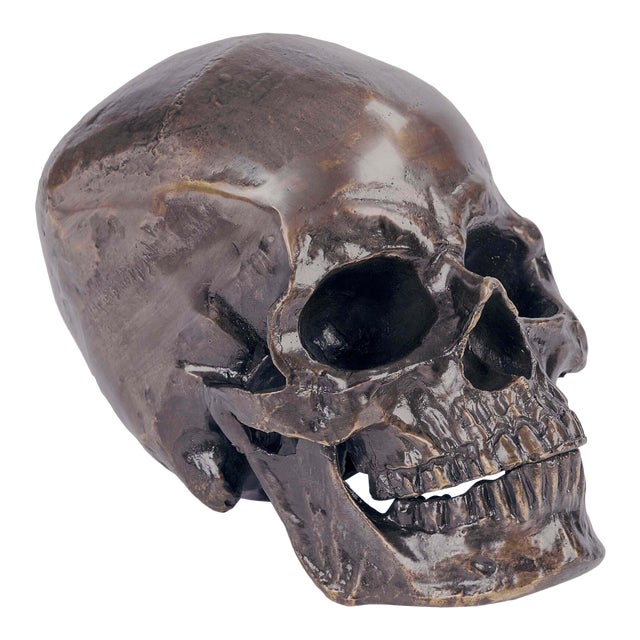 Regina Andrew Metal Skull in Antique Bronze For Sale