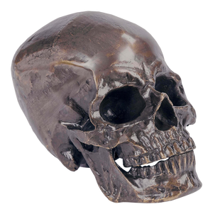 Regina Andrew Metal Skull in Antique Bronze