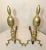 Large Pair of Antique 1700's Peened Brass Iron Federal Double Lemon Andirons For Sale In New York - Image 6 of 14