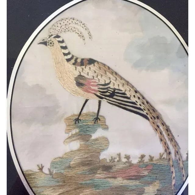 18th Century Antique 18th Century English George III Needlework of an Exotic Bird in Original Gilt Wood Frame For Sale - Image 5 of 11