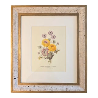 Late 20th Century Pierre-Joseph Redouté Floral Botanical Print of Anémone, Renoncules Cinéraires For Sale