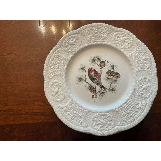 Set of 8 Royal Cauldon Dinner Plates “Aviary” Pattern Bristol Ironstone For Sale - Image 4 of 9