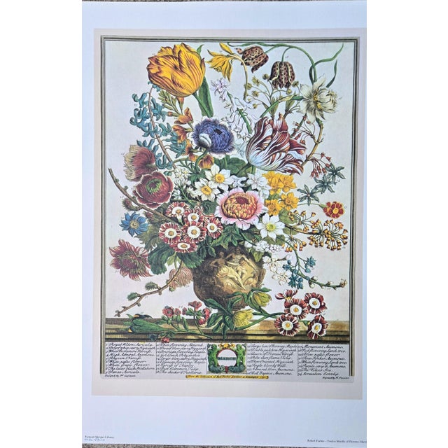 1980s Vintage Robert Furber March Botanical From "Twelve Months of Flowers” Pierpont Morgan Library Print For Sale - Image 9 of 13