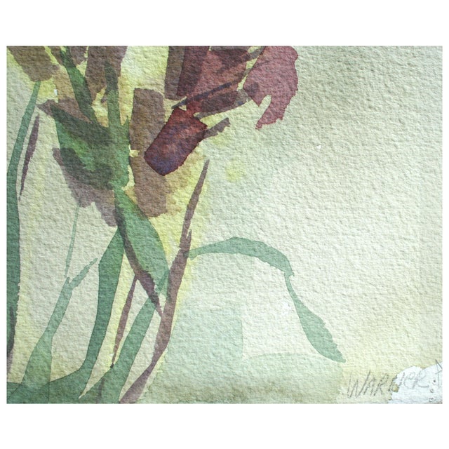 California Seascape, Botanical Study - Double Sided Mid Century Watercolor by Doris Warner For Sale In Monterey, CA - Image 6 of 6