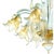 Italian Clear and Gold-Leaf Chandelier with Flowers and Leaves Murano Glass by Simoeng For Sale - Image 4 of 5