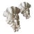 Vintage Grotto Style Wall Sconces— A Pair For Sale