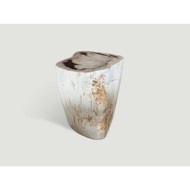 "Beautiful pale tones on this ancient petrified wood side table with some contrasting black on top. It’s fascinating how...