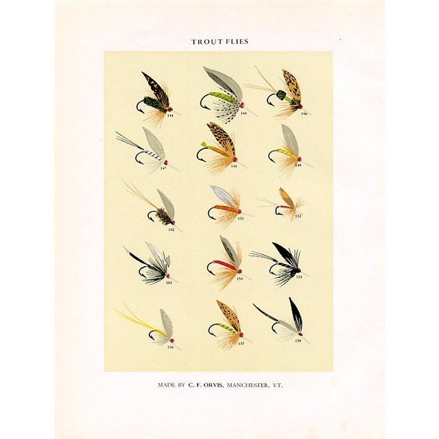 Original mid-century color lithograph print of Trout fishing flies. Based on the designs of the American sportsman Charles...