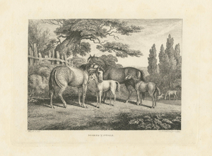 Samuel Howitt, Mares & Foals, 1799, Engraving