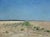 Sunny Field in Champagne - Armand Guéry, Signed Oil on Canvas, 19th Century For Sale - Image 9 of 11