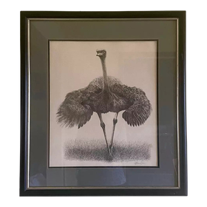 Ostrich Etching Print Signed Warren Davis