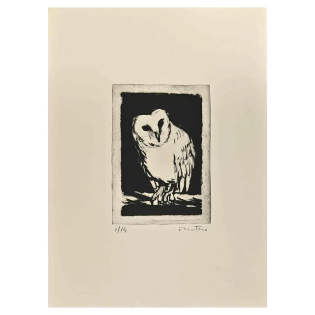 Enotrio Pugliese, Owl, Etching, 1963 For Sale