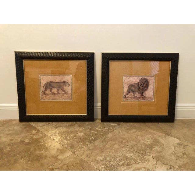 Burnt Orange Contemporary Pamela Glada Safari Wildlife Prints, Framed - Set of 2 For Sale - Image 8 of 8