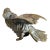 19th Century Antique French Bronze Sparrow Bird Paperweight Sculpture For Sale