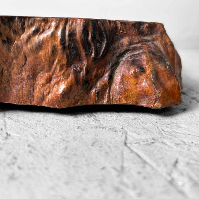 1950s Yakusugi Wood Display, Japan, 1950s For Sale - Image 5 of 14