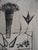 Modern Bernard Buffet, Nature morte aux bouquet et aux fruits, Etching For Sale - Image 3 of 5