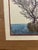 Early 20th Century Hand Colored Tree Engraving For Sale In Boston - Image 6 of 9