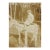Early 20th Century Girl on Wooden Donkey Sepia Snapshot Photograph For Sale