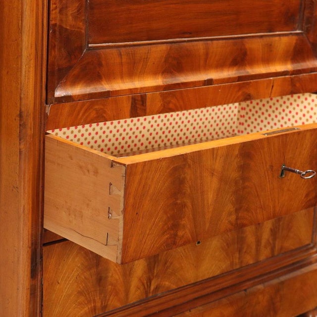 Antique Charles X Wardrobe in Mahogany, Italy, 19th Century For Sale - Image 9 of 12