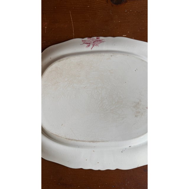 A Very Fine Antique Pink Transferware Decorated Staffordshire Platter "Asiatic Plants" Pattern, Circa 1840's For Sale - Image 12 of 14
