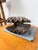 Vintage Brutalist Box in Wood and Seashell, 1960s For Sale - Image 13 of 18