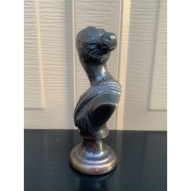 Neoclassical Grand Tour Cast Metal Bust of Diana the Huntress For Sale In South Bend - Image 6 of 10