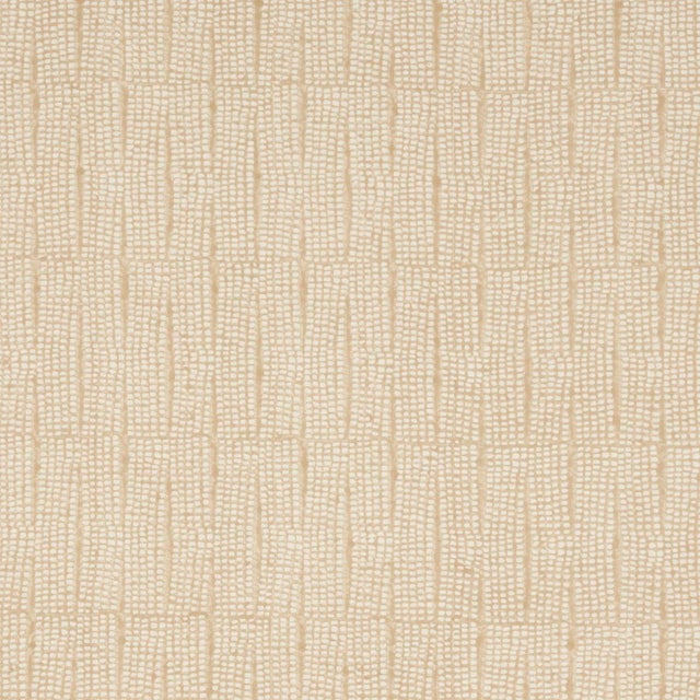 SAMPLE - Schumacher Noland Block Print Fabric In Sand For Sale