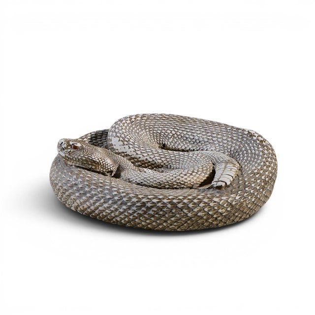 Coiled Rattlesnake Chalkware Sculpture For Sale In Chicago - Image 6 of 7