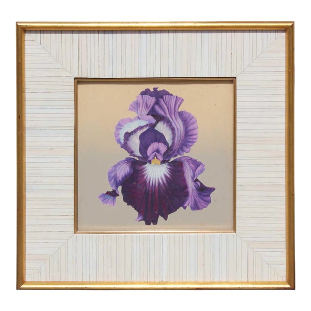 1930's Purple Iris Still Life in The Style of Georgia O'Keeffe For Sale