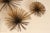 Late 20th Century Curtis Jeré Mid Century Modern Urchin Wall Sculpture For Sale - Image 5 of 18