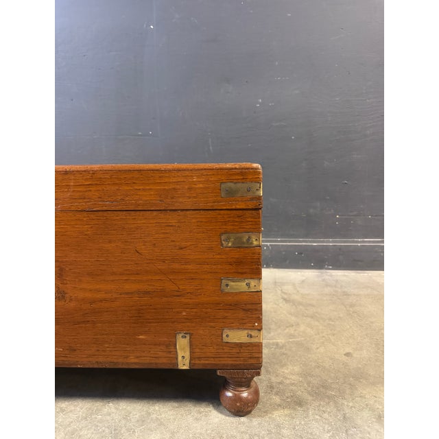 Late 19th Century 19th C. English Brass Bound Camphor Wood Campaign Trunk For Sale - Image 5 of 9