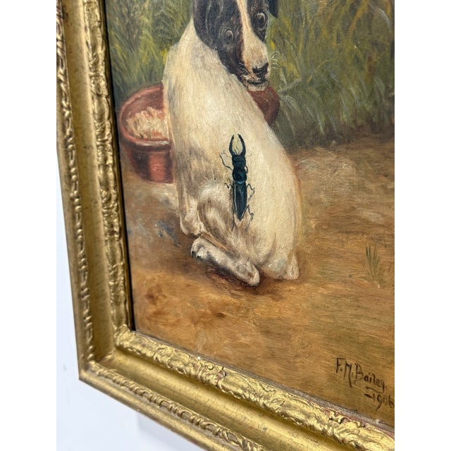 Traditional F. M. Bailey, Whimsical Dog Portrait With Beetle, 1906 For Sale - Image 3 of 10