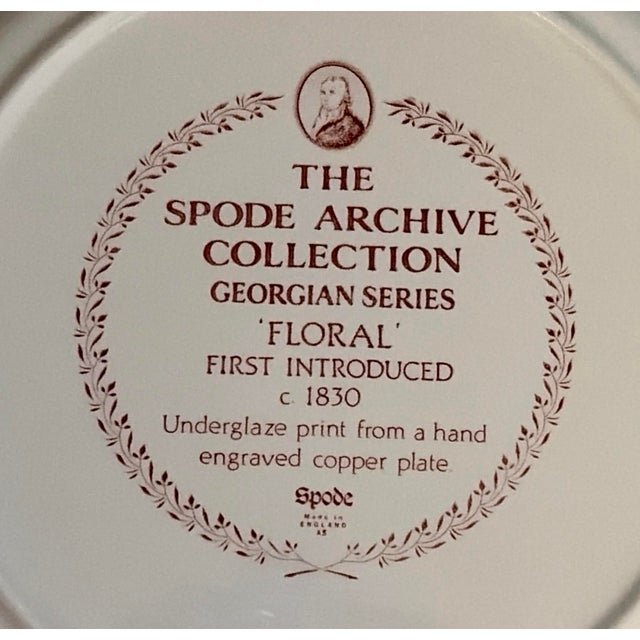 Ceramic Vintage Ironstone Wall Plate Collection - Set of 9 Plates For Sale - Image 7 of 13