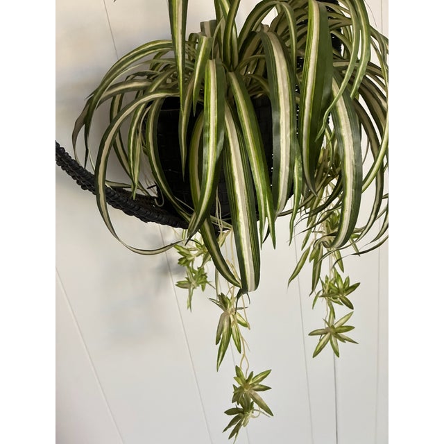 Black 1970s Hanging Swag Silk Fern in Black Basket For Sale - Image 8 of 10