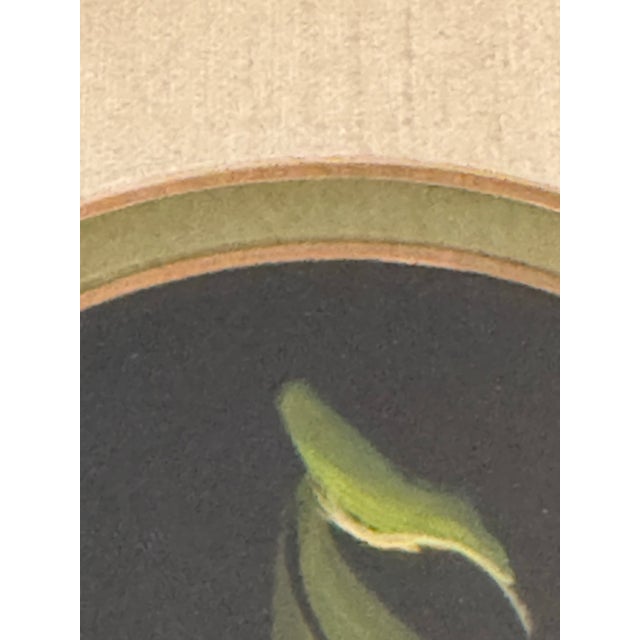 Vintage Gallery Prints Ltd. Framed Still Life Set – Fruit & Vegetables – Set of 4 Unsigned / Unknown Artist For Sale - Image 9 of 11
