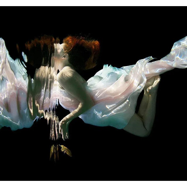 Feather, Underwater Photograph, Metallic Pearl Paper, 2013 For Sale - Image 4 of 4