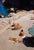 Capri Sun Loungers by Toni Frissell Sunbathers enjoy the view on the coastline of Capri, 1959. (Toni Frissell) Archival...