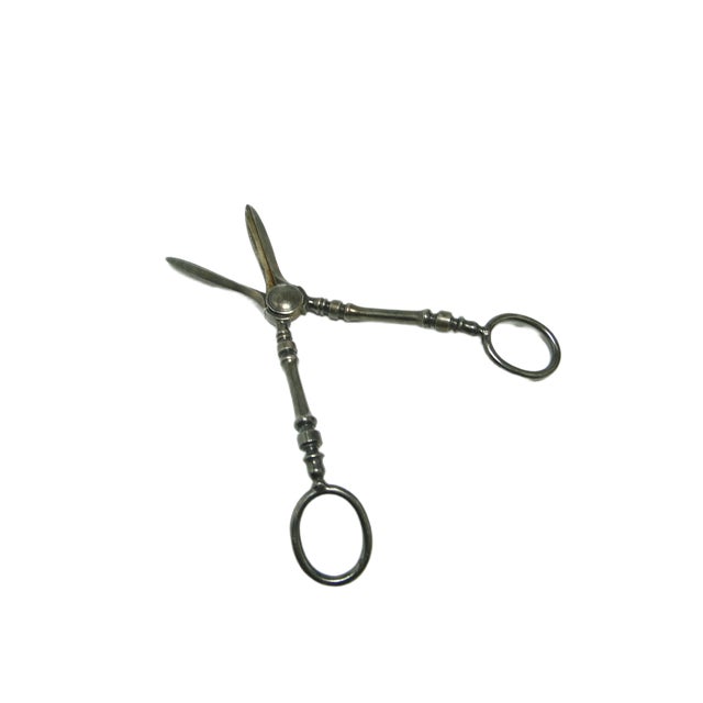 Art Nouveau Danish Scissors for Grapes, 1920s For Sale - Image 9 of 15