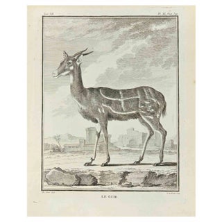 Louis Legrand, Le Guib, Etching, 1771 For Sale