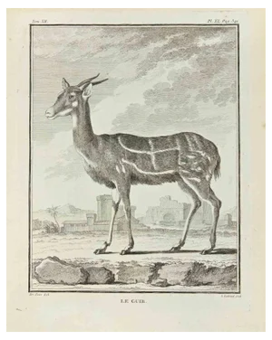 Louis Legrand, Le Guib, Etching, 1771