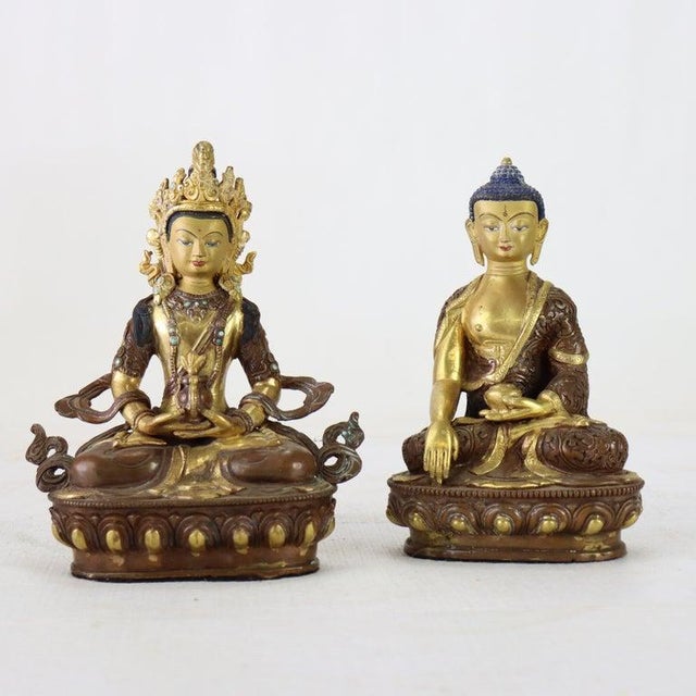 Two Bronze Buddhas: Medicine Buddha & Aparmita Buddha of Infinite Life C1920 For Sale - Image 4 of 9