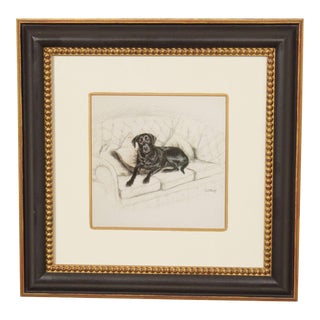 Late 20th Century "Study of Black Lab Dog" Pastel Drawing by Lew Helyes For Sale
