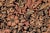 Floral 1990's Pak-Persian Black/Red Wool Rug - 6'1'' X 9'4'' For Sale - Image 4 of 9