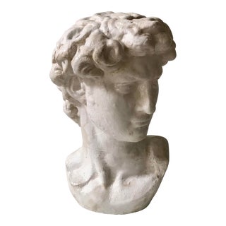 Classical Bust of David For Sale