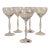 Vesta Water Goblet by Spiegelau - Set of 5 For Sale